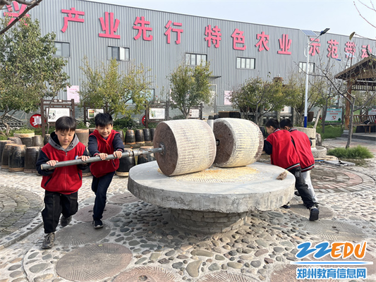 图片11